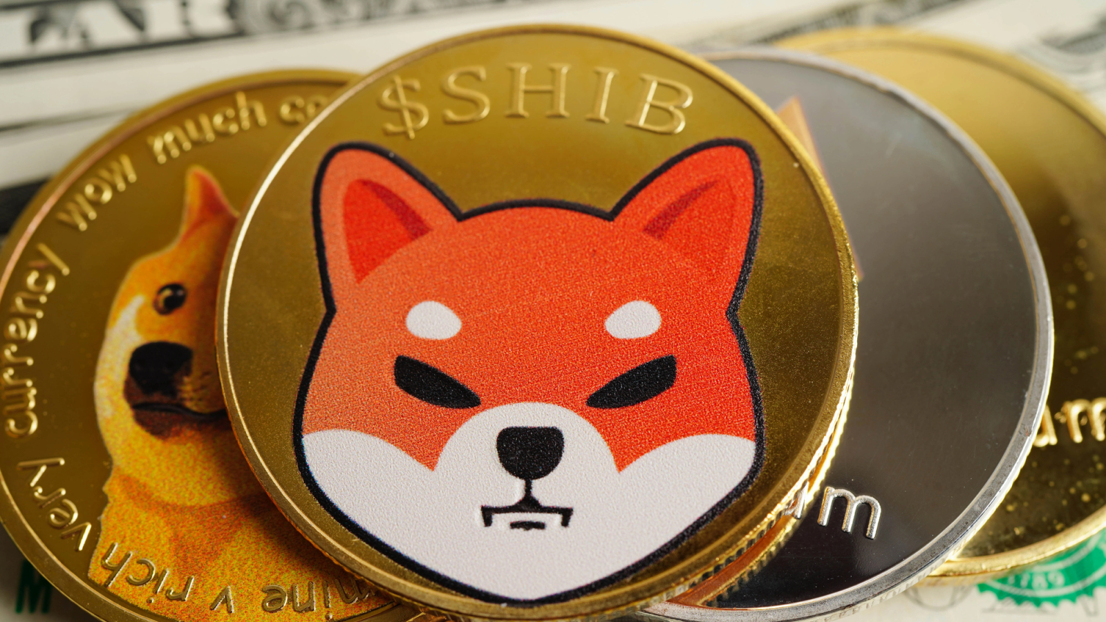 Japanese Tech Giant Rakuten to Give Away Shiba Inu (SHIB) to 44